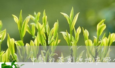 中国白茶发源地在哪个位置/2023040130726