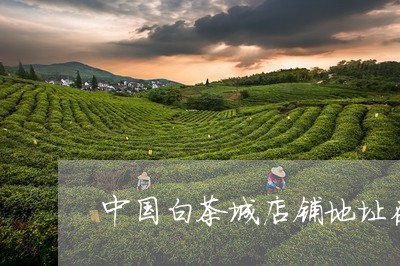 中国白茶城店铺地址在哪里/2023040136471