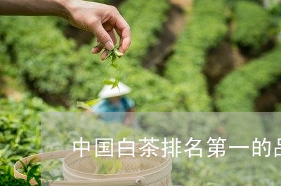 中国白茶排名第一的品牌是/2023040164846