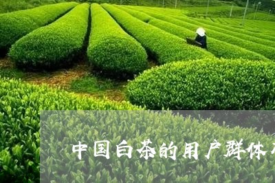 中国白茶的用户群体有多少/2023040101604