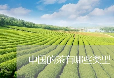 中国的茶有哪些类型/2023041597279