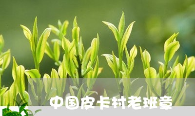 中国皮卡村老班章/2023032964038