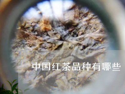 中国红茶品种有哪些/2023032147480