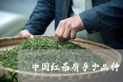 中国红茶有多少品种/2023032149604