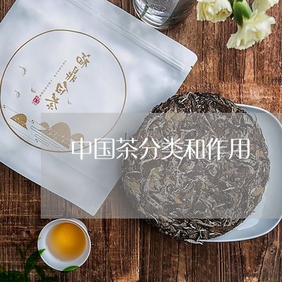 中国茶分类和作用/2023032496050