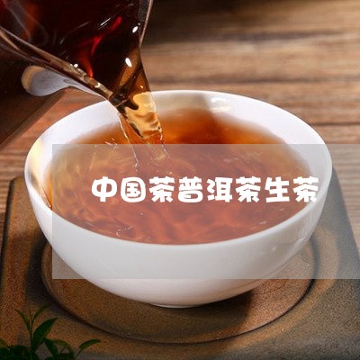 中国茶普洱茶生茶/2023041158161