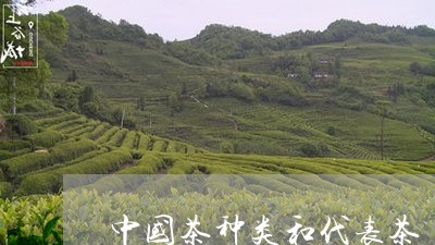 中国茶种类和代表茶/2023032110615