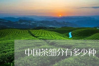 中国茶细分有多少种/2023032170784