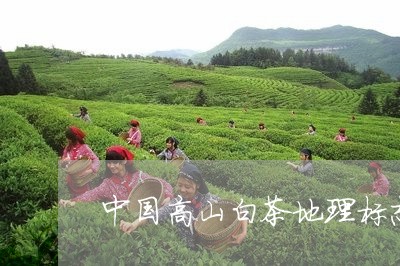 中国高山白茶地理标志设计/2023040129292