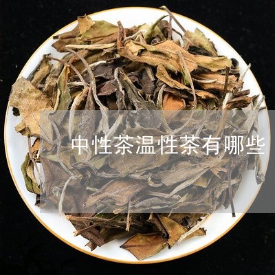 中性茶温性茶有哪些/2023041536360