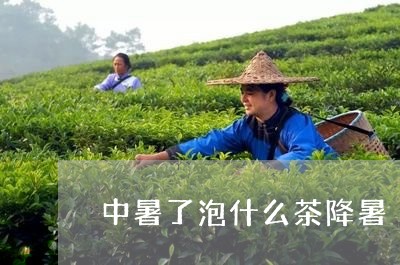 中暑了泡什么茶降暑/2023041539683