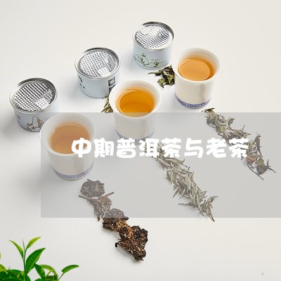 中期普洱茶与老茶/2023031603737