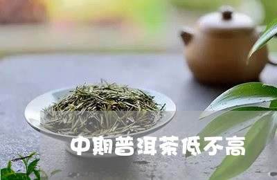 中期普洱茶低不高/2023041004049