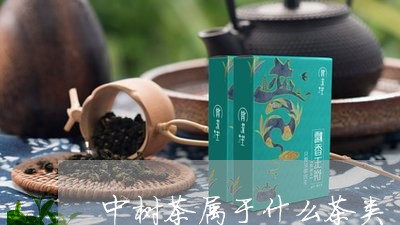 中树茶属于什么茶类/2023032169584