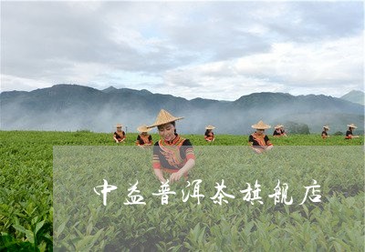 中益普洱茶旗舰店/2023033053946