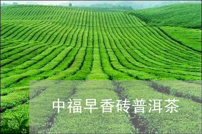 中福早香砖普洱茶/2023033190471