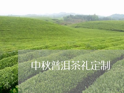 中秋普洱茶礼定制/2023041054836