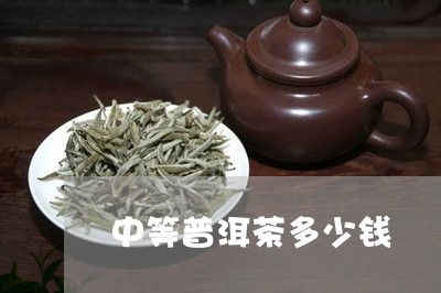 中等普洱茶多少钱/2023041289382