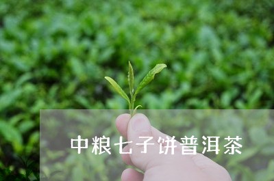 中粮七子饼普洱茶/2023033181726