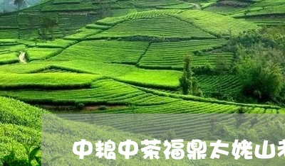 中粮中茶福鼎太姥山老白茶/2023040168572