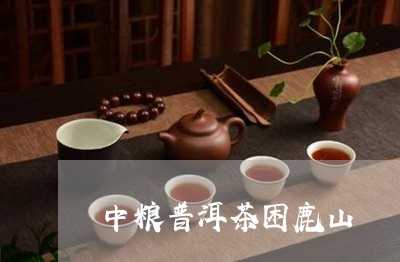 中粮普洱茶困鹿山/2023033140502