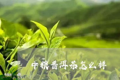 中粮普洱茶怎么样/2023031759371