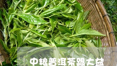 中粮普洱茶跟大益/2023033123915