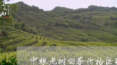 中粮老树白茶价格区别对比/2023040166160