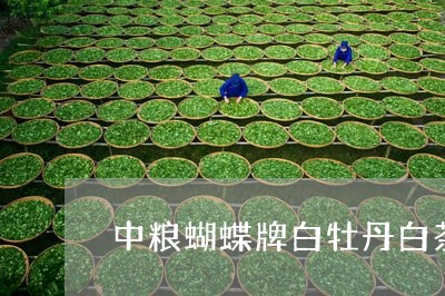 中粮蝴蝶牌白牡丹白茶好吗/2023040186359