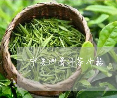 中美洲普洱茶价格/2023031779515