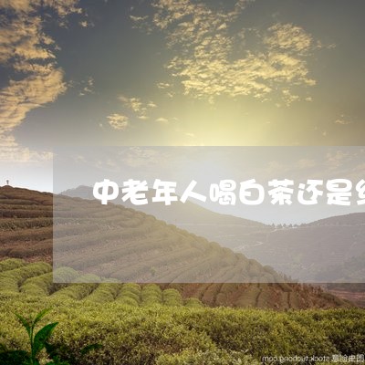 中老年人喝白茶还是红茶好/2023040105947