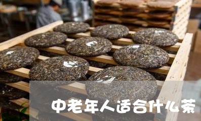 中老年人适合什么茶/2023041634836