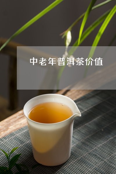 中老年普洱茶价值/2023041123807