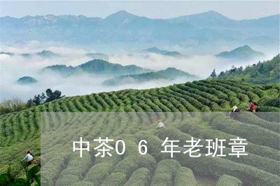 中茶06年老班章/2023032930513