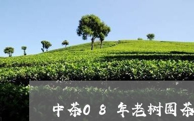 中茶08年老树园茶/2023041729748