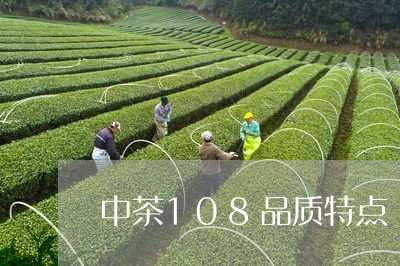 中茶108品质特点/2023041696250