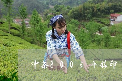 中茶2005年银印/2023041717059