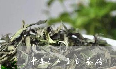 中茶5406茶砖/2023032478503