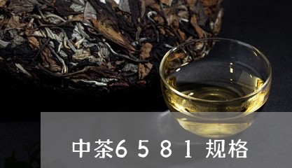 中茶6581规格/2023032526269