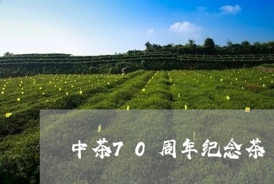 中茶70周年纪念茶/2023041791824