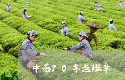 中茶70年老班章/2023032991625