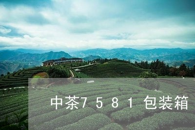 中茶7581包装箱/2023032037470