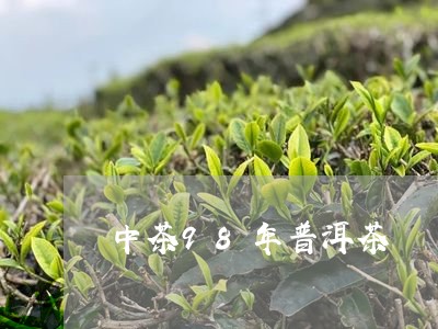 中茶98年普洱茶/2023041306492