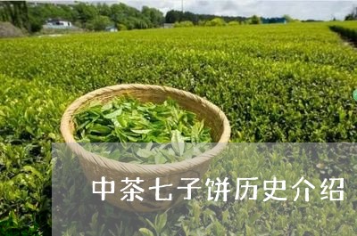 中茶七子饼历史介绍/2023032066360