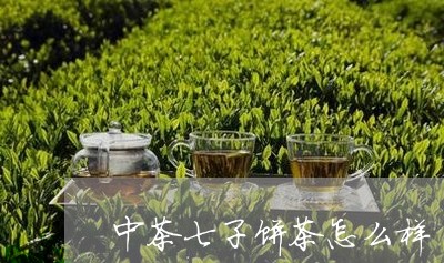 中茶七子饼茶怎么样/2023041788601