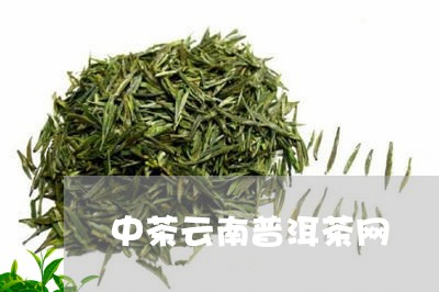 中茶云南普洱茶网/2023031547482