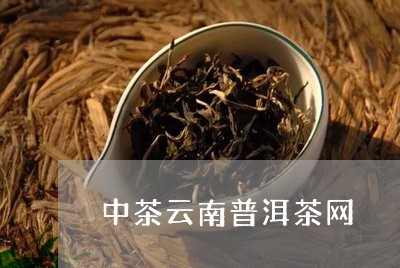 中茶云南普洱茶网/2023041170713