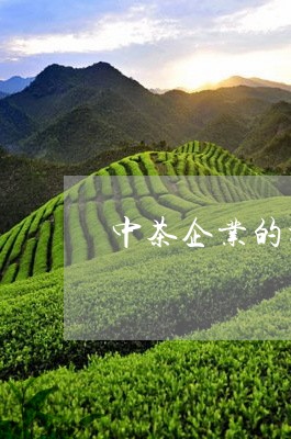 中茶企业的机会在哪/2023032184815