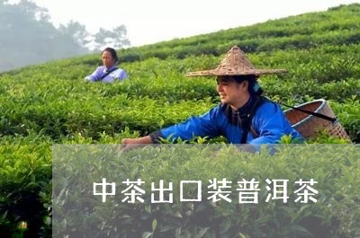 中茶出口装普洱茶/2023041164137