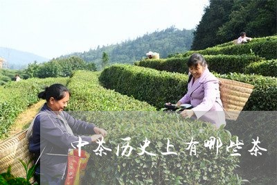 中茶历史上有哪些茶/2023032107440